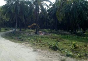 Kabel Listrik Menjuntai Rendah, Ancam Keselamatan Warga