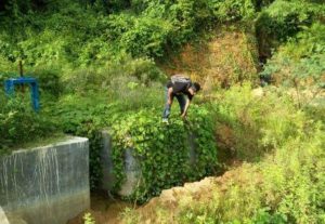 Tidak Berfungsi, KMBSA Sorot Pembangunan Irigasi dan Embung Lhok Geulumpang