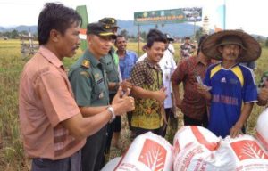 Bulog Siap Tampung Gabah Petani Aceh Jaya