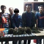 Apes, Nelayan yang Nyambi Jadi Bandar Ganja Ini Diciduk saat Sedang Rapat