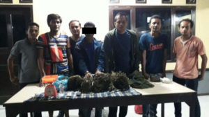 Apes, Nelayan yang Nyambi Jadi Bandar Ganja Ini Diciduk saat Sedang Rapat