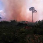 Kebakaran Lahan di Singkil Mulai Menjalar ke Kebun Sawit Warga