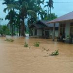 Tiga Gampong di Aceh Selatan Dikepung Banjir, Ratusan Hektar Padi Terendam