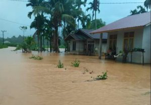 Tiga Gampong di Aceh Selatan Dikepung Banjir, Ratusan Hektar Padi Terendam