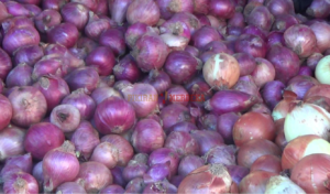 Harga Bawang Merah Naik di PBU Meulaboh