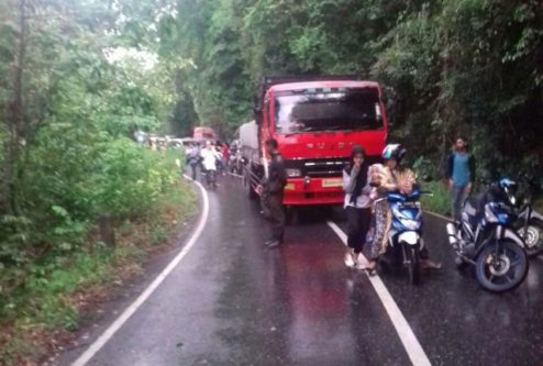 Pohon Tumbang di Geurutee Sempat Macetkan Arus Banda Aceh-Meulaboh