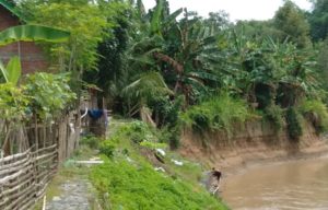 Abrasi Sungai Ancam Rumah dan Kebun Warga