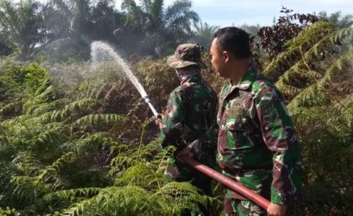 Tim Gabungan Padamkan Kebakaran Lahan Gambut di Aceh Barat