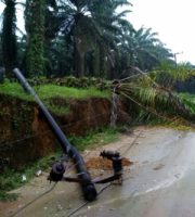 Angin Kencang di Singkil, Tiang Listrik Roboh Dan Pohon Tumbang