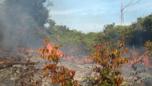 Lagi, Lahan Gambut Terbakar di Aceh Barat