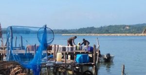 Tangkapan Ikan Nelayan di Aceh Jaya Menurun