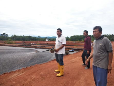 Bau Limbah, Ini Klarifikasi PT Syauqat Agroe