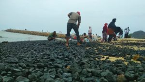 Warga Ambil Tumpahan Batu Bara di Pinggir Pantai Lampuuk