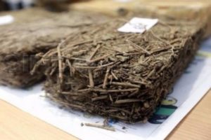 70 Kg Ganja Selundupan dari Aceh Masuk Bogor