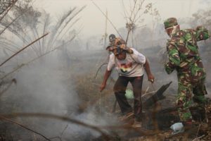 99 Persen Lokasi Karhutla di Aceh Barat Sudah Padam