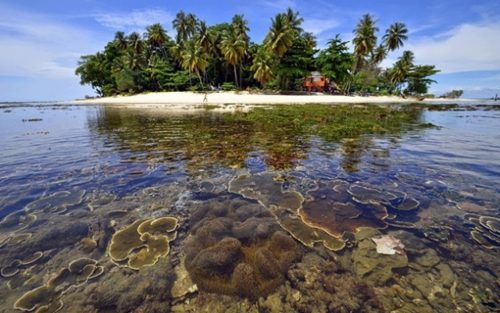 Pemerintah Aceh Perlu Tetapkan Kawasan Konservasi Pesisir