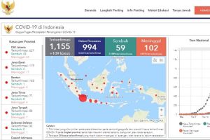 Update Rincian Kasus Covid-19 di 29 Provinsi di Indonesia