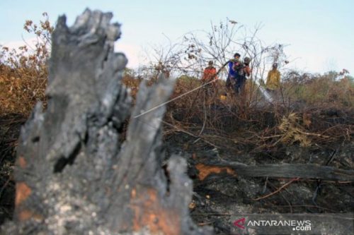 Kebakaran Lahan di Aceh Barat Belum Bisa Dipadamkan