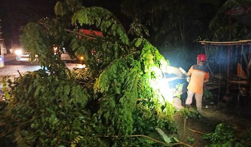 35 Rumah di Aceh Timur Rusak Diterjang Angin Kencang