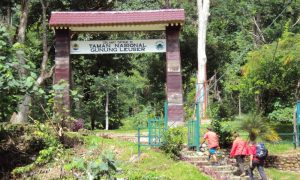 Walhi Kembali Desak Pemindahan Kantor BBTNGL ke Aceh