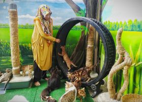 dr Natalina bersama kucing-kucing kesayangannya. (Foto/Cut Salma)