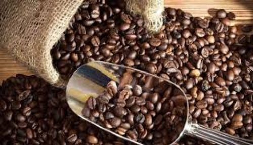 Ekspor Kopi Gayo Merosot 70 Persen Akibat Pandemi