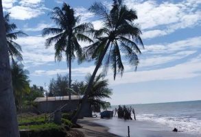 Abrasi di Pantai Bungkaih Kian Parah, Aktifitas Warga Terancam