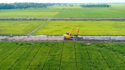 Pakar Tekankan Ketahanan Pangan di Masa Pandemi