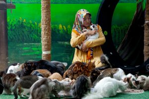 Dr Natalina saat memberi makan kucing-kucing piaraannya. (Foto/Oviyandi Emnur)