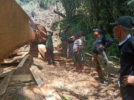 Illegal Logging Marak, Walhi Pertanyakan Kinerja Balai Gakkum di TNGL