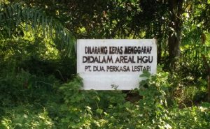 perusahaan sawit pt dua perkasa lestari terungkap rebut lahan masyarakat