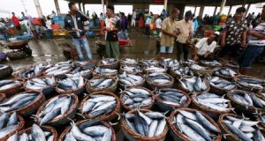 FOTO PERIKANAN INDONESIA Inilah Aktivitas Pelabuhan Pendaratan Ikan1