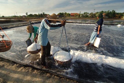 petani garam ilustrasi 170727203135 423