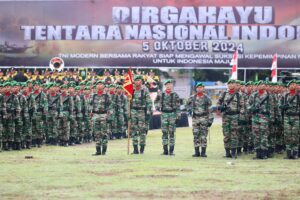 HUT TNI