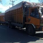 Tiga Truk Tronton Mengalami Kecelakaan Beruntun di jalan lintas Meulaboh - Banda Aceh, Minggu (22/12/2024). Sumber Foto : Arif Rizalul / Reporter RRI Meulaboh