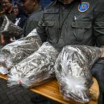 Petugas Badan Narkotika Nasional (BNN) membawa barang bukti narkoba jenis ganja sebelum dimusnahkan di Lapangan Parkir Kantor BNN, Jakarta, Selasa (21/5/2024). (Foto: Antara/Erlangga Bregas Prakoso)