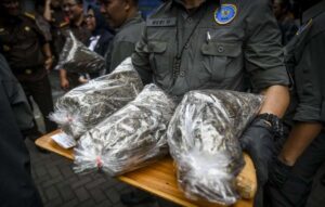 Petugas Badan Narkotika Nasional (BNN) membawa barang bukti narkoba jenis ganja sebelum dimusnahkan di Lapangan Parkir Kantor BNN, Jakarta, Selasa (21/5/2024). (Foto: Antara/Erlangga Bregas Prakoso)