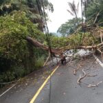 Pohon dan tiang listrik tumbang ke jalan lintas nasional Bireuen- Takengon Kamis ( 2/1/2025). Foto:( InfoPublik / MC Aceh/03y)