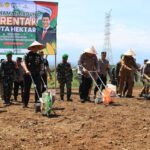 Forkopimda Aceh menanam jagung pada program satu juta hektar di Desa Iboh Tanjong, Kecamatan Seulimeum, Kabupaten Aceh Besar. (Foto: Dok. Humas Polda Aceh)