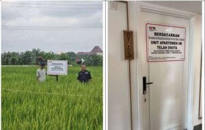 Sawah dan apartemen yang telah dipasang plang penyitaan oleh KPK. (Foto: Humas KPK).