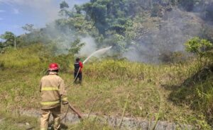 Petugas Damkar Aceh Besar memadamkan api karhutla di Kecamatan Leupung. Foto: Dok BPBD Aceh Besar