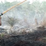 Petugas BPBD Aceh Barat berupaya pemadaman api di lokasi kebakaran lahan di kawasan Desa Suak Uleue, Kecamatan Arongan Lambalek, Kabupaten Aceh Barat. Foto: Dok. BPBD Aceh Barat