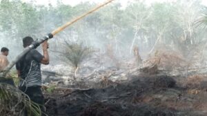 Petugas BPBD Aceh Barat berupaya pemadaman api di lokasi kebakaran lahan di kawasan Desa Suak Uleue, Kecamatan Arongan Lambalek, Kabupaten Aceh Barat. Foto: Dok. BPBD Aceh Barat