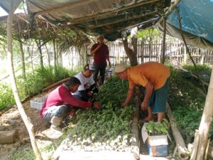 UNIGHA Luncurkan Pilot Proyek Nilam untuk Edukasi dan Pemberdayaan Mahasiswa