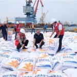 Petugas dari Perum Bulog memeriksa beras impor yang sampai di pelabuhan. Foto: Dok. Perum Bulog