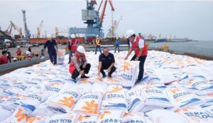 Petugas dari Perum Bulog memeriksa beras impor yang sampai di pelabuhan. Foto: Dok. Perum Bulog