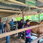 Pemerintah Kabupaten Aceh Besar melalui Dinas Pertanian, melaksanakan vaksinasi massal Penyakit Mulut dan Kuku (PMK) di Kecamatan Blang Bintang, Selasa (4/2/2025). Foto: InfoPublik