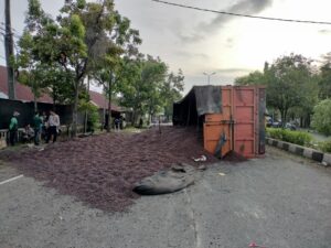 Kondisi Truk Fuso pengangkut inti kelapa sawit terbalik di Jalan Simpang Dodik. Foto: AcehPortal