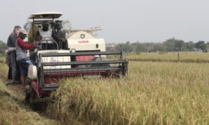 Mesin modern memanen padi lebih cepat di salah satu kawasan di Aceh Besar. Foto: Dok. Dinas Pertanian Aceh